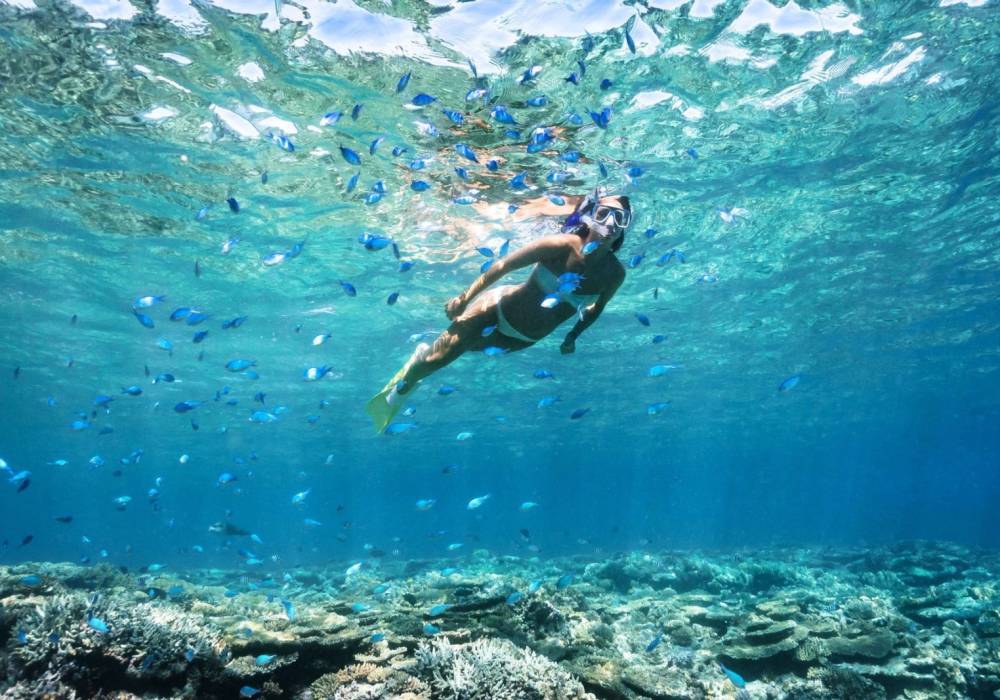 Auf dem Seeabenteuer – 5 Stunden